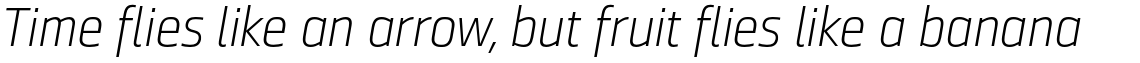 Ranelte Normal Light Italic