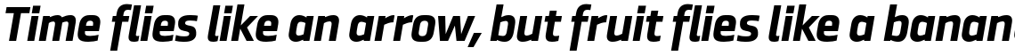 Ranelte Normal ExtraBold Italic