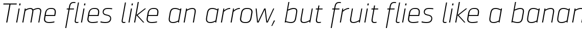 Ranelte Extended Thin Italic