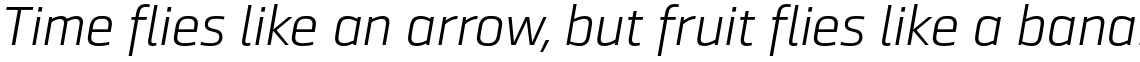 Ranelte Extended Book Italic