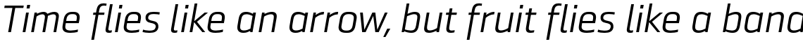 Ranelte Extended Regular Italic