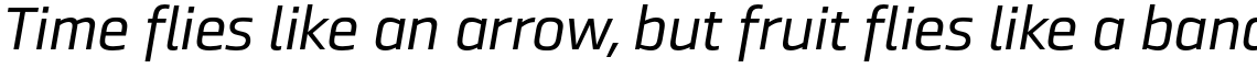 Ranelte Extended Medium Italic