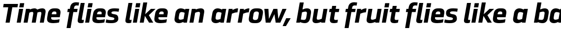 Ranelte Extended ExtraBold Italic