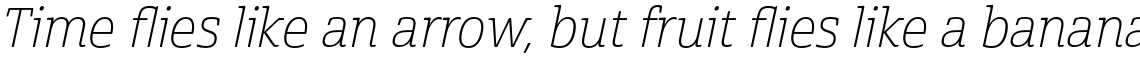 Cabrito Semi Thin Italic