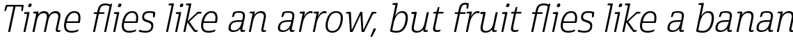 Cabrito Semi Book Italic