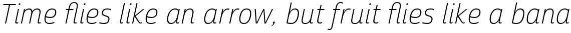 Cabrito Sans Thin Italic