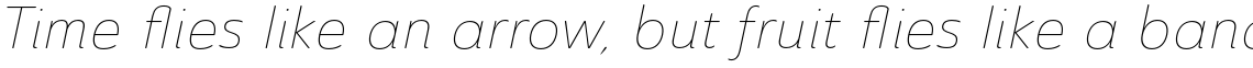 Ainslie Sans Thin Italic