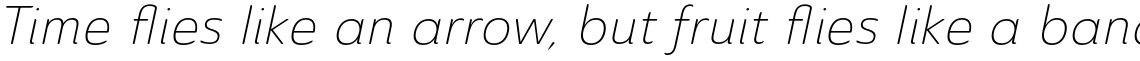 Ainslie Sans Light Italic