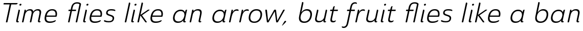 Ainslie Sans Book Italic