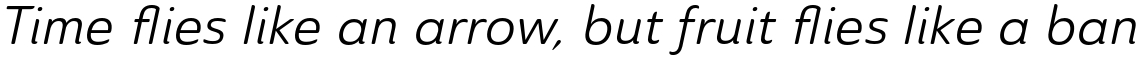 Ainslie Sans Regular Italic