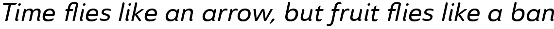 Ainslie Sans Medium Italic