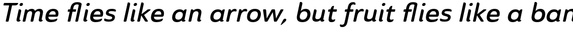 Ainslie Sans Demi Italic