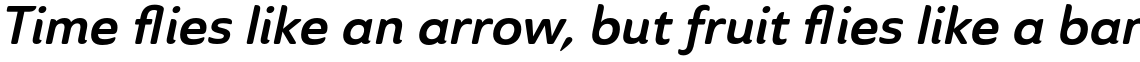 Ainslie Sans Bold Italic