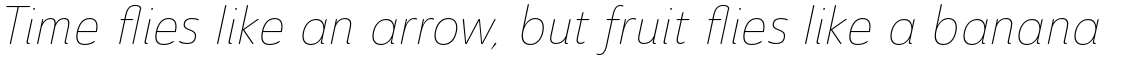 Ainslie Sans Condensed Thin Italic