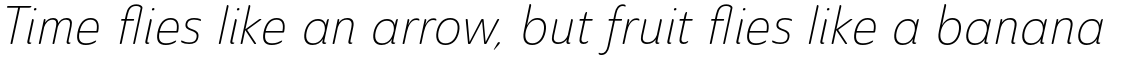Ainslie Sans Condensed Light Italic