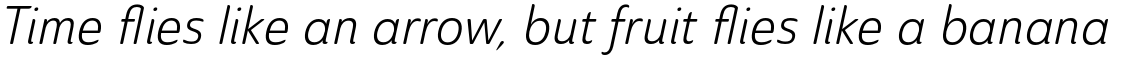 Ainslie Sans Condensed Book Italic