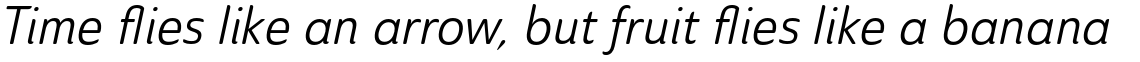 Ainslie Sans Condensed Regular Italic
