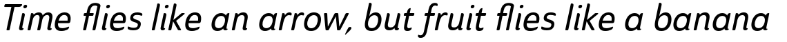 Ainslie Sans Condensed Medium Italic