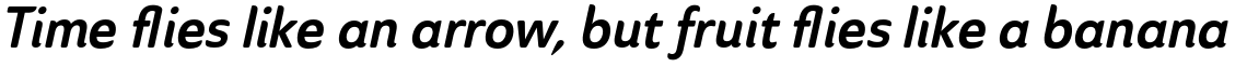Ainslie Sans Condensed Bold Italic