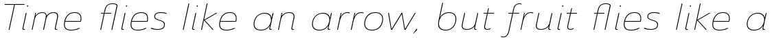 Ainslie Sans Extended Thin Italic