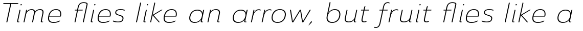 Ainslie Sans Extended Light Italic