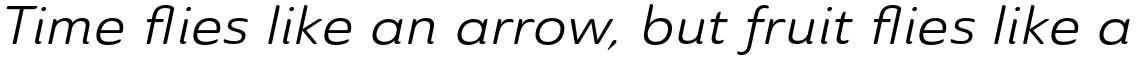 Ainslie Sans Extended Regular Italic