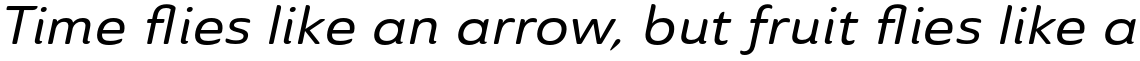 Ainslie Sans Extended Medium Italic