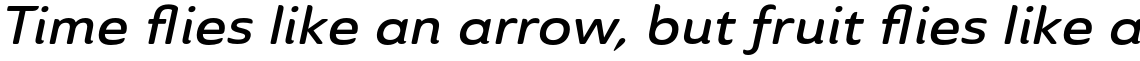 Ainslie Sans Extended Demi Italic