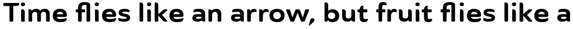 Ainslie Sans Extended Bold 