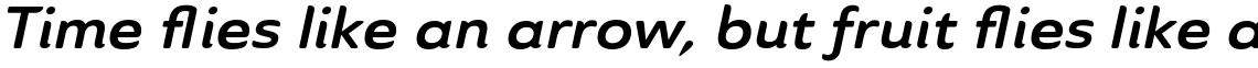 Ainslie Sans Extended Bold Italic