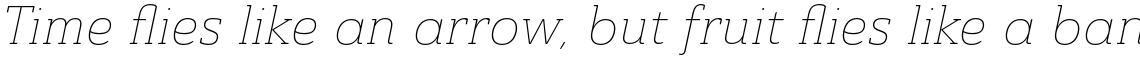 Ainslie Slab Thin Italic