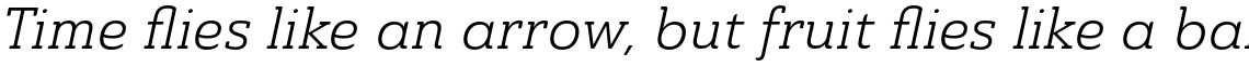 Ainslie Slab Book Italic
