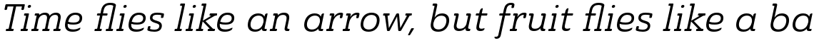 Ainslie Slab Regular Italic