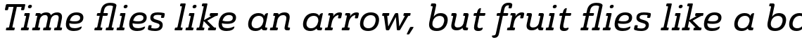 Ainslie Slab Medium Italic