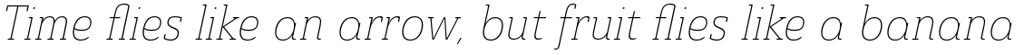 Ainslie Slab Condensed Thin Italic