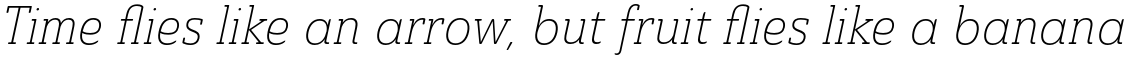 Ainslie Slab Condensed Light Italic