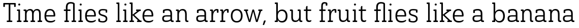 Ainslie Slab Condensed Book