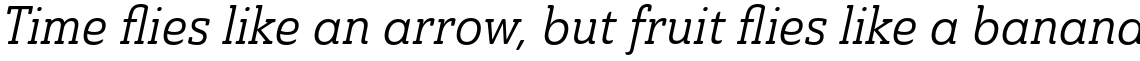 Ainslie Slab Condensed Regular Italic