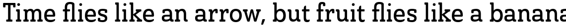 Ainslie Slab Condensed Medium
