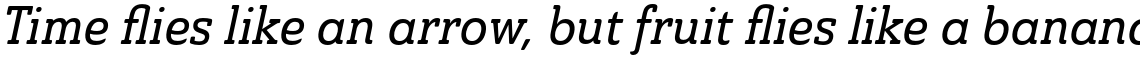 Ainslie Slab Condensed Medium Italic