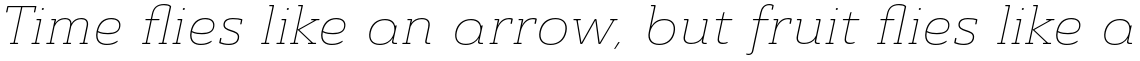 Ainslie Slab Extended Thin Italic