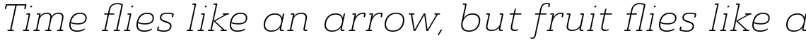 Ainslie Slab Extended Light Italic