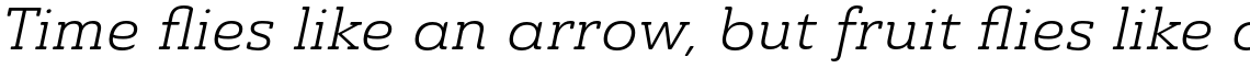 Ainslie Slab Extended Book Italic