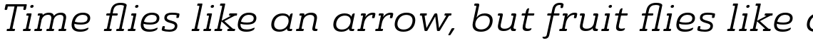 Ainslie Slab Extended Regular Italic