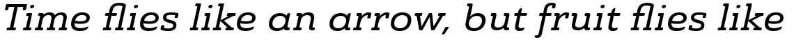 Ainslie Slab Extended Medium Italic