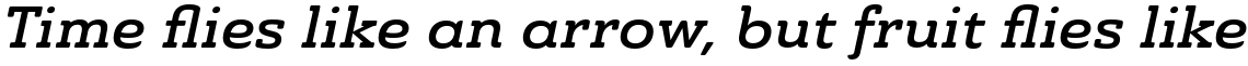 Ainslie Slab Extended Demi Italic