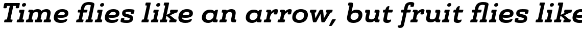 Ainslie Slab Extended Bold Italic