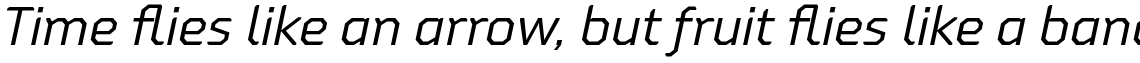 Oita Extended Regular Italic
