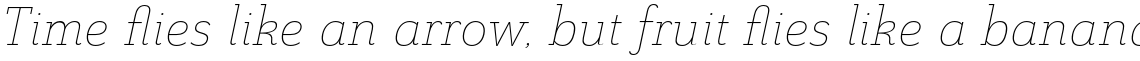 Grenale Slab Extended Thin Italic