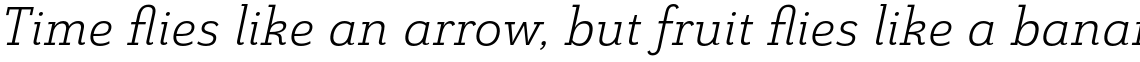 Grenale Slab Extended Book Italic